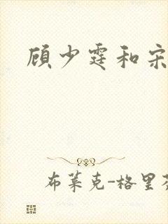 顾少霆和宋斯曼封面