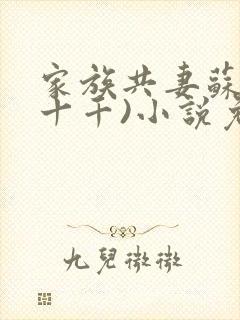 家族共妻苏苏(十千)小说免费