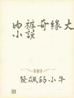 内裤奇缘大团结小说