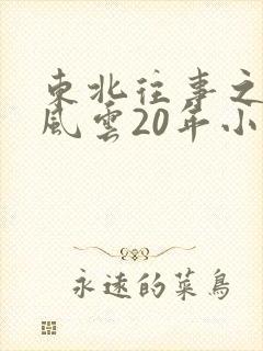 东北往事之黑道风云20年小说