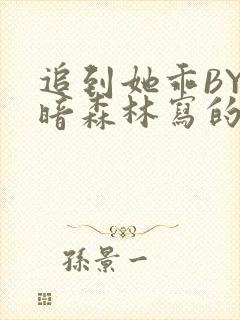 追到她乖BY黑暗森林写的小说