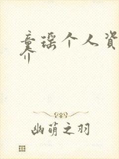 童瑶个人资料简介