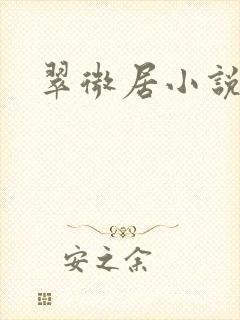 翠微居小说封面