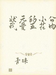 状元的小公主(我爱五花肉)封面