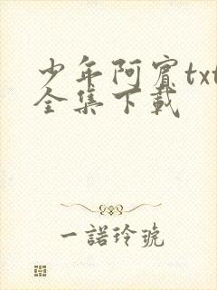 少年阿宾txt全集下载