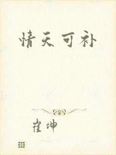 情天可补