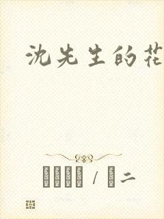 沈先生的花式调