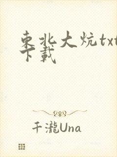 东北大炕txt下载