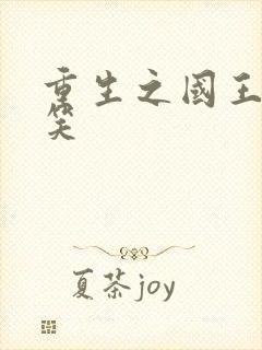 重生之国王的微笑封面