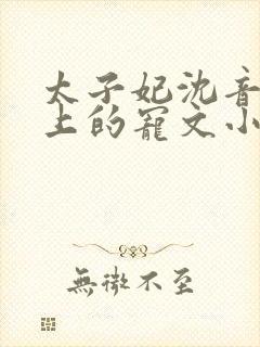 太子妃沈音和皇上的宠文小说