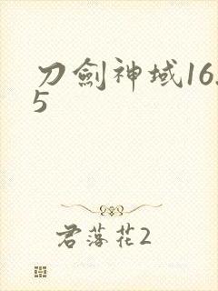 刀剑神域16.5