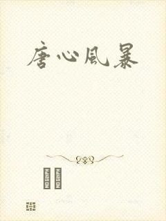 唐心风暴