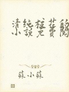 清纯校花的秘密小说免费阅读