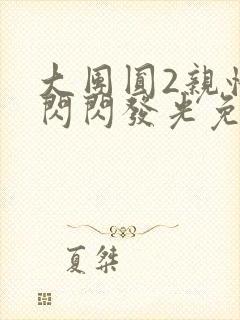 大团圆2亲情会闪闪发光免费