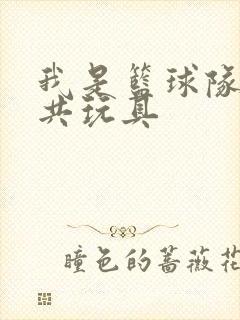 我是篮球队的公共玩具