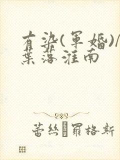 有染(军婚)/叶落淮南封面