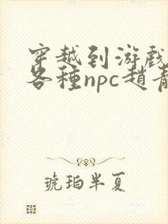 穿越到游戏里和各种npc赵青蔓封面