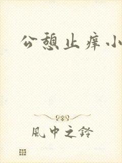 公憩止痒小说封面