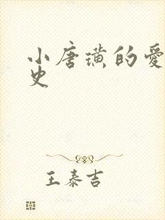 小唐璜的爱情历史封面