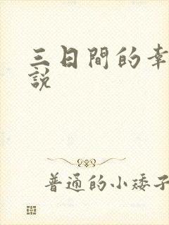 三日间的幸福小说