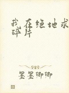 我在绝地求生捡碎片