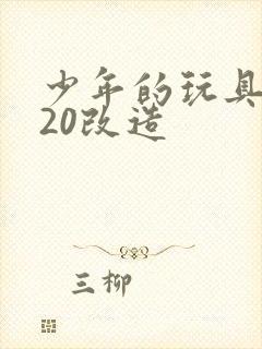 少年的玩具1一20改造