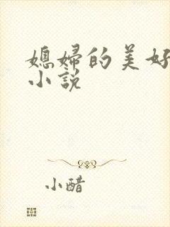 媳妇的美好时代小说