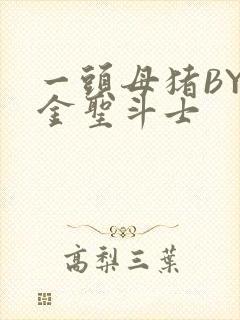 一头母猪BY黄金圣斗士