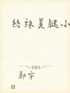 丝袜美腿小说封面