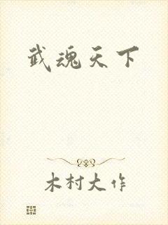 武魂天下