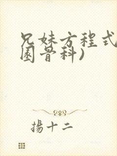 兄妹方程式(校园骨科)封面