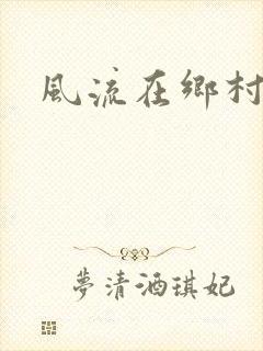 风流在乡村封面