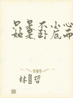 只是不小心发现她是卧底而已