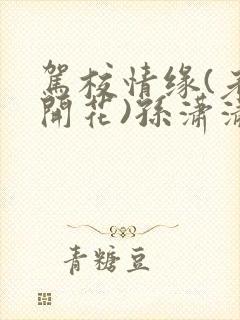 驾校情缘(老树开花)孙潇潇第一次趣笔阁