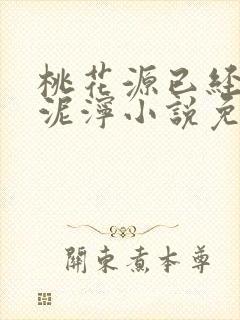 桃花源已经一片泥泞小说免费封面