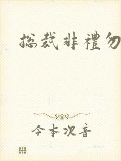 总裁非礼勿碰封面