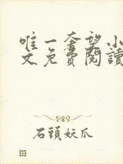 唯一奢望小说全文免费阅读