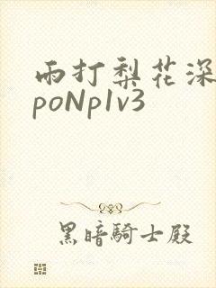 雨打梨花深闭门poNp1v3