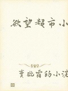 欲望超市小说封面