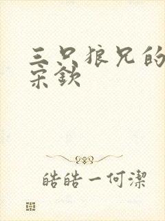 三只狼兄的宠妻宋钦