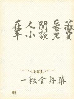 在人间采薇陆三平小说免费阅读