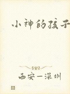 小神的孩子们封面