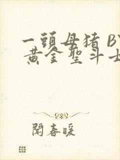 一头母猪 BY 黄金圣斗士