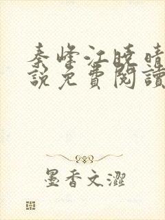 秦峰江晓晴的小说免费阅读封面