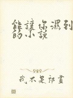 能让你湿到不行的小说