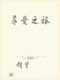 寻爱之旅封面