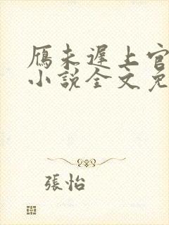 雁未迟上官穿越小说全文免费阅读