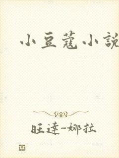 小豆蔻小说