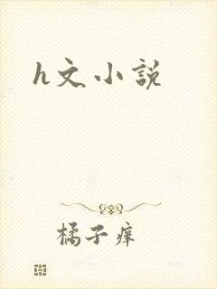 h文小说封面
