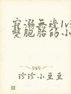 宠溺无边1v3双胞胎的小说